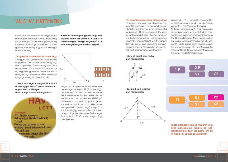 Det er lite bokstavregning, men mye vekt på tekstoppgaver. Denne modulen har hovedområder som tall og algebra, geometri, økonomi, sannsynlighet og funksjoner.