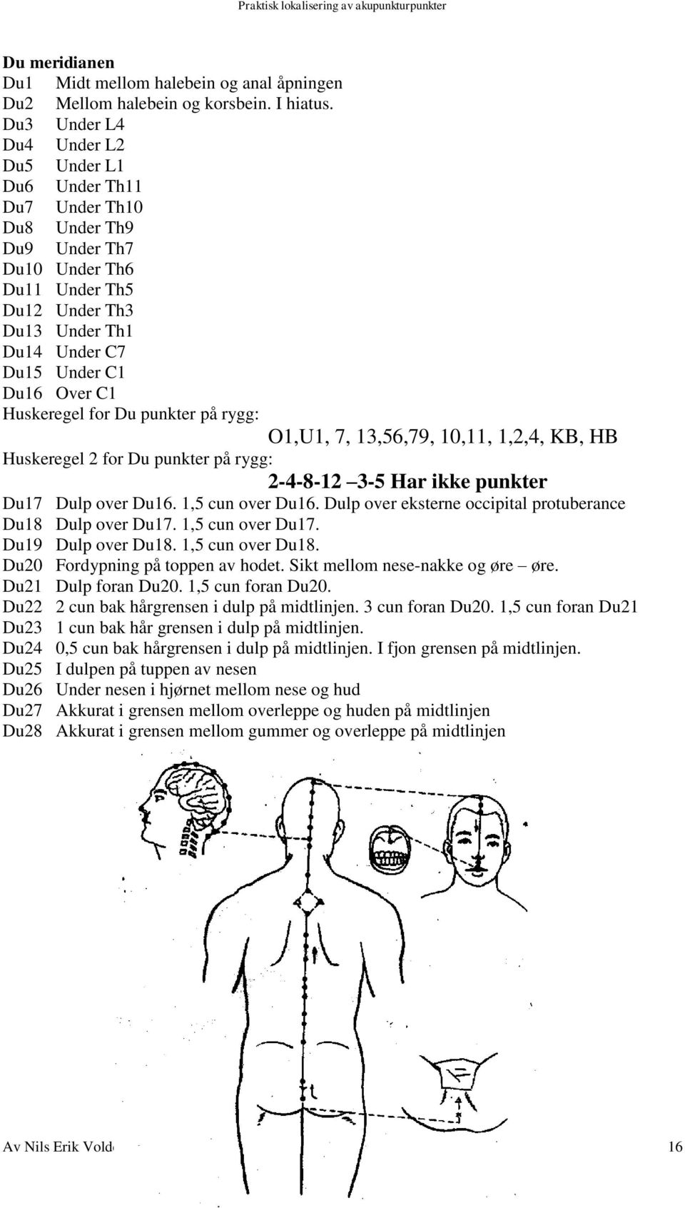 Huskeregel for Du punkter på rygg: O1,U1, 7, 13,56,79, 10,11, 1,2,4, KB, HB Huskeregel 2 for Du punkter på rygg: 2-4-8-12 3-5 Har ikke punkter Du17 Dulp over Du16. 1,5 cun over Du16.