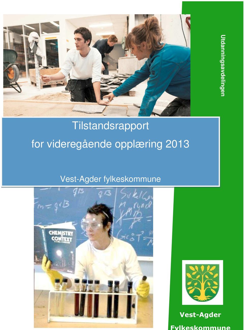 videregående opplæring