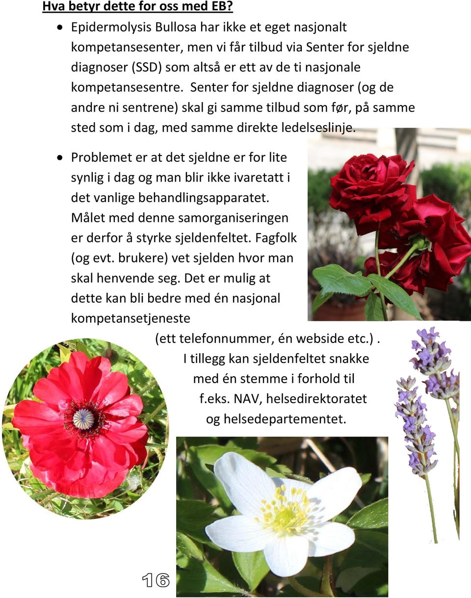 Senter for sjeldne diagnoser (og de andre ni sentrene) skal gi samme tilbud som før, på samme sted som i dag, med samme direkte ledelseslinje.