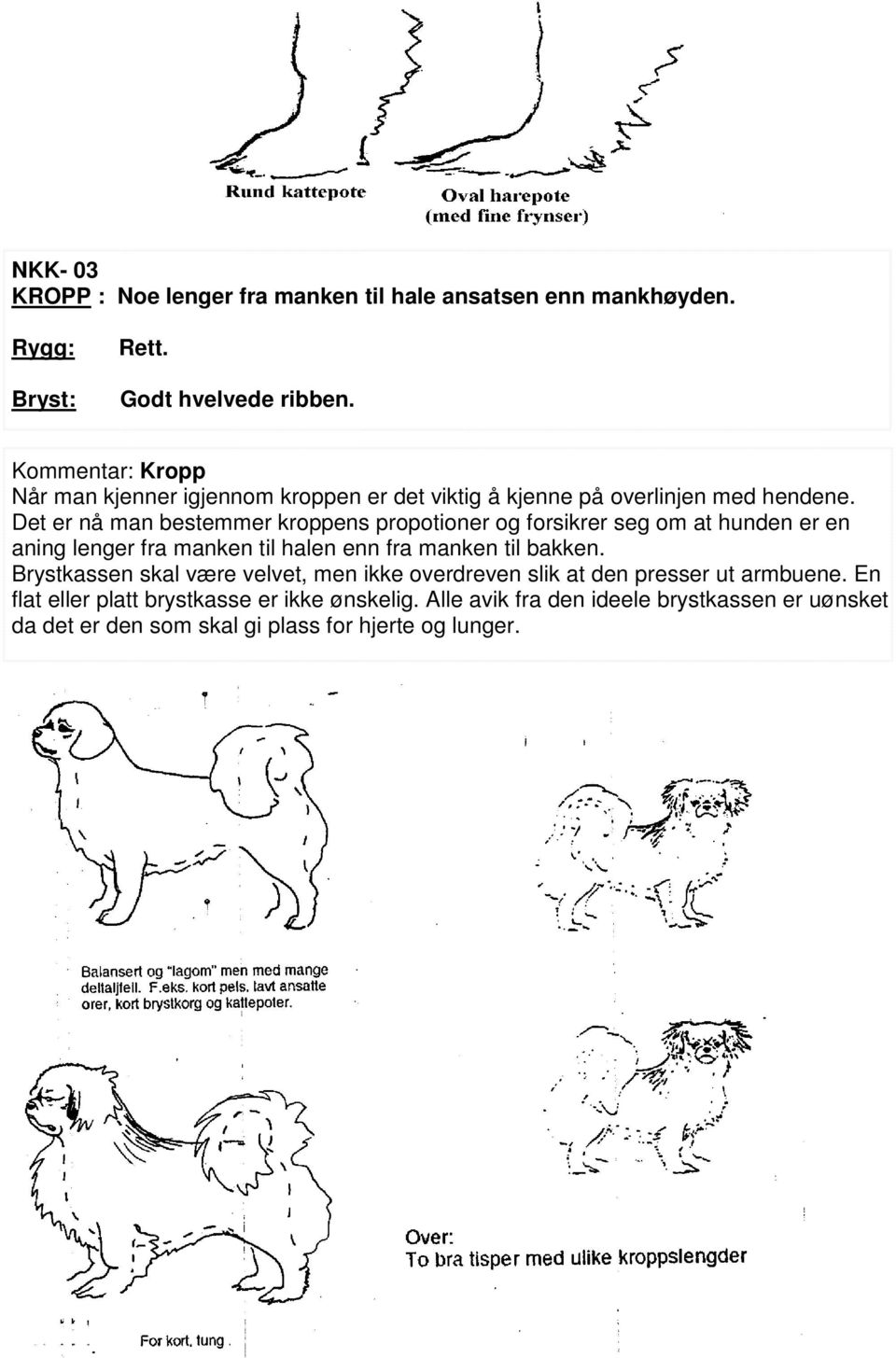 Det er nå man bestemmer kroppens propotioner og forsikrer seg om at hunden er en aning lenger fra manken til halen enn fra manken til bakken.