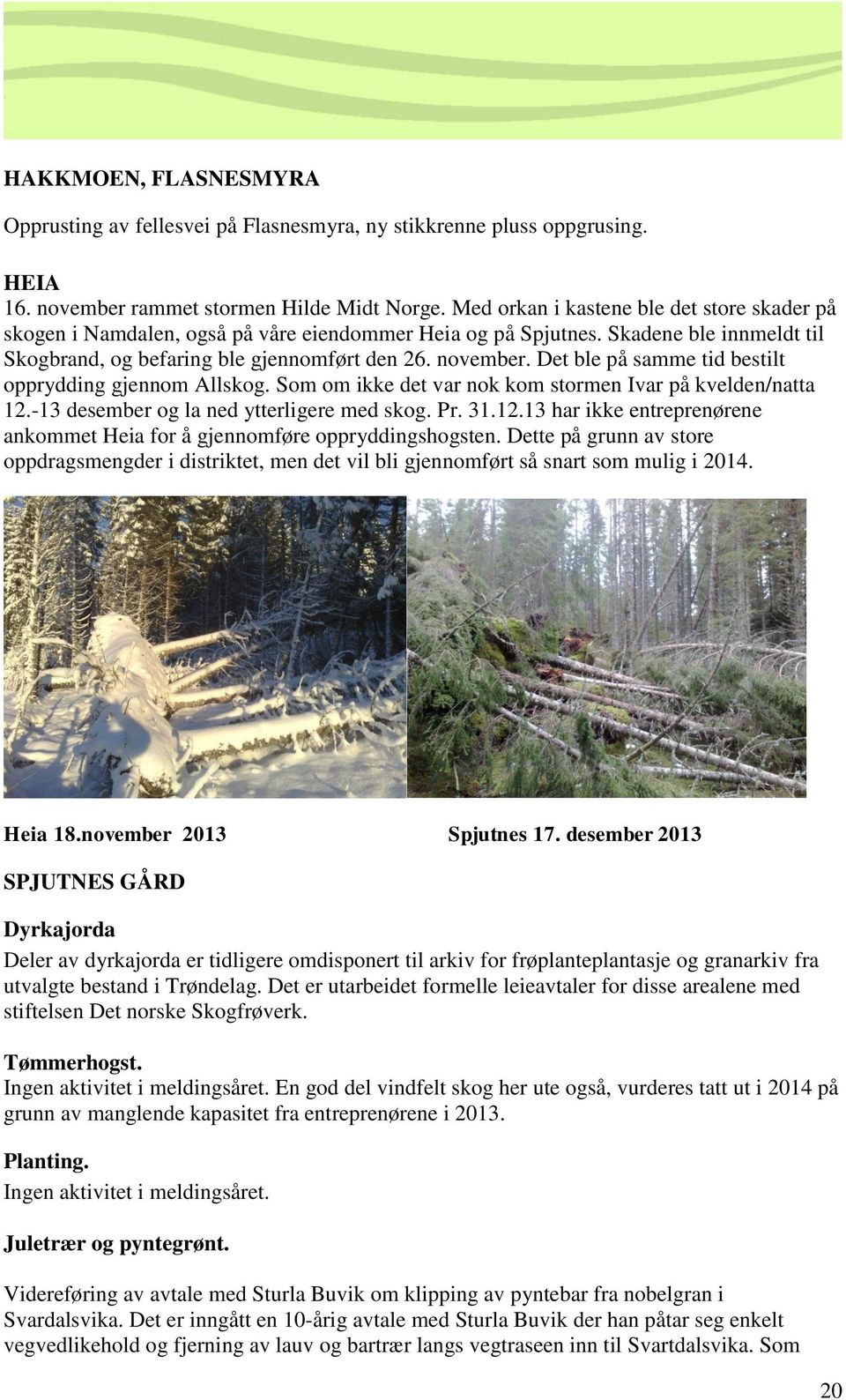 Det ble på samme tid bestilt opprydding gjennom Allskog. Som om ikke det var nok kom stormen Ivar på kvelden/natta 12.-13 desember og la ned ytterligere med skog. Pr. 31.12.13 har ikke entreprenørene ankommet Heia for å gjennomføre oppryddingshogsten.