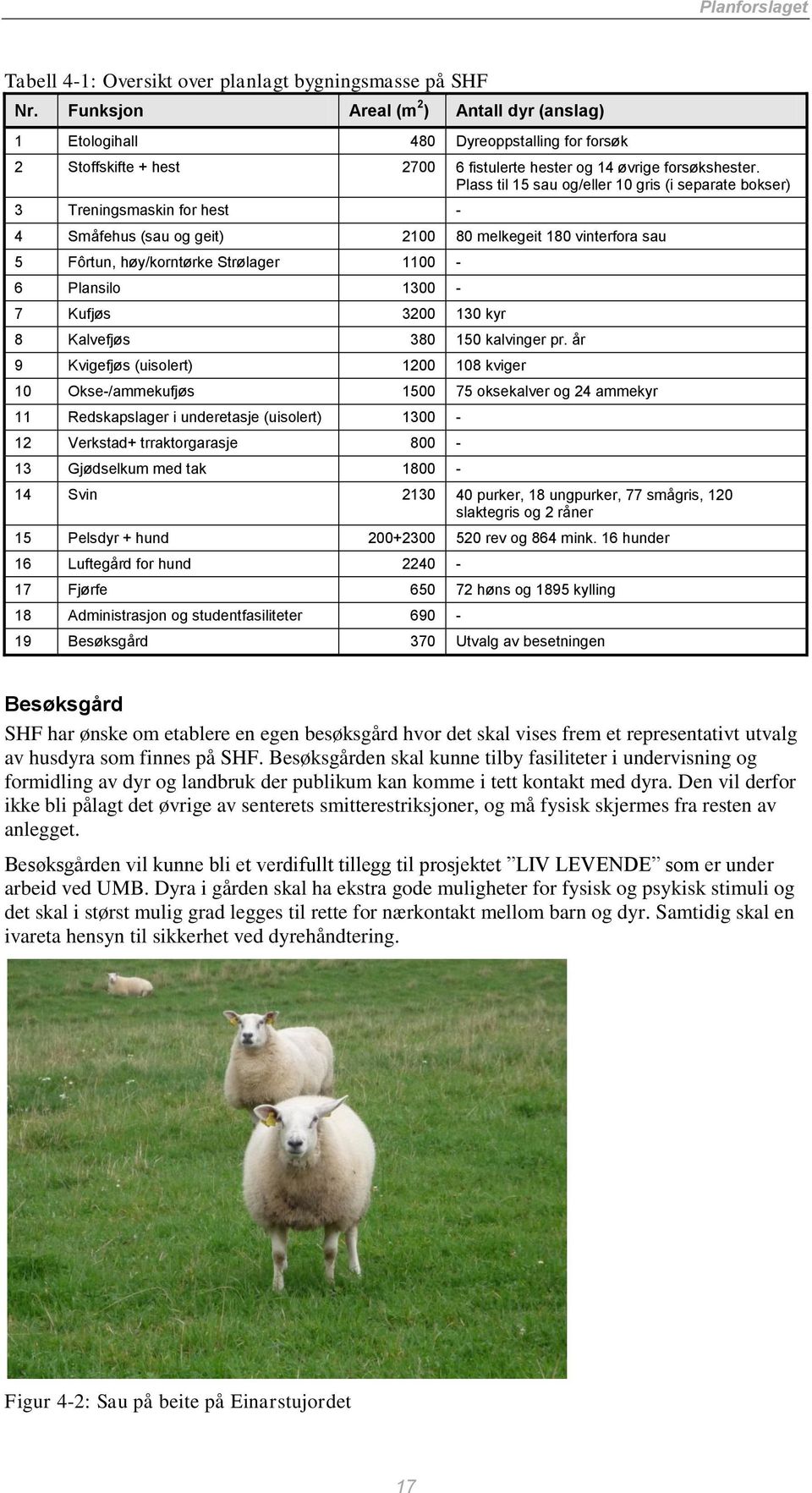 Plass til 15 sau og/eller 10 gris (i separate bokser) 3 Treningsmaskin for hest - 4 Småfehus (sau og geit) 2100 80 melkegeit 180 vinterfora sau 5 Fôrtun, høy/korntørke Strølager 1100-6 Plansilo