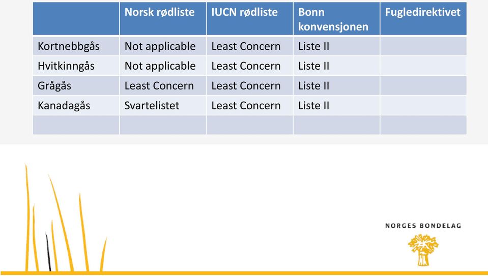 Least Concern Liste II Grågås Least Concern Least Concern