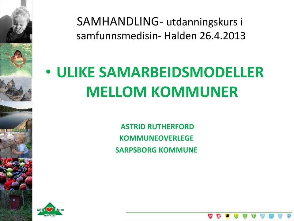 2013 ULIKE SAMARBEIDSMODELLER MELLOM