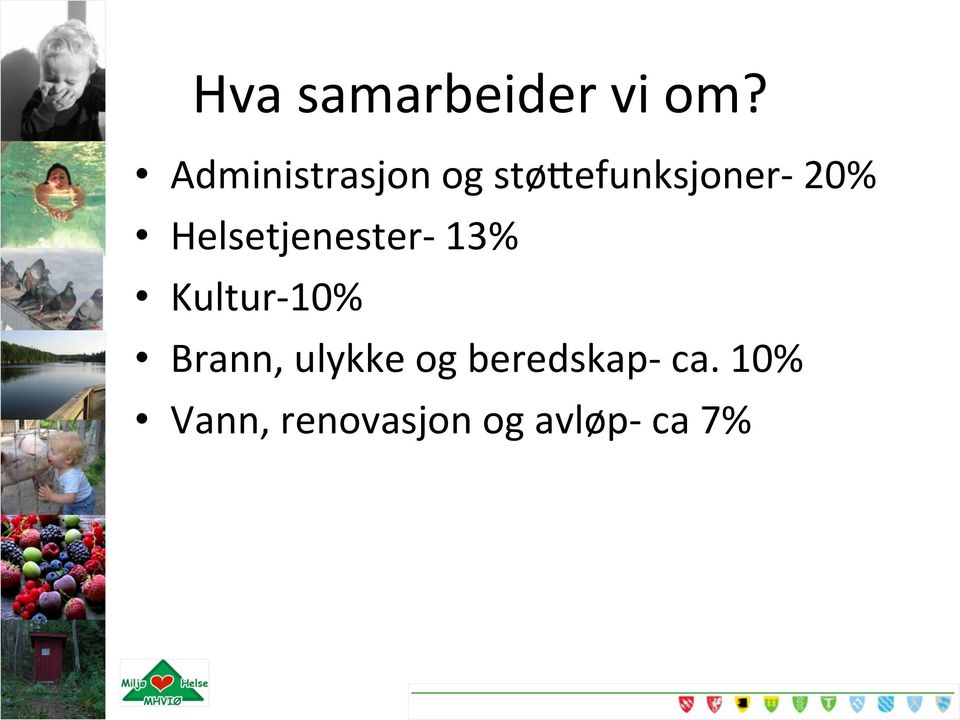 Helsetjenester- 13% Kultur- 10% Brann,