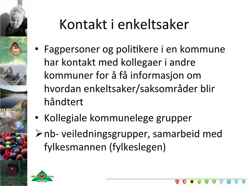 hvordan enkeltsaker/saksområder blir håndtert Kollegiale