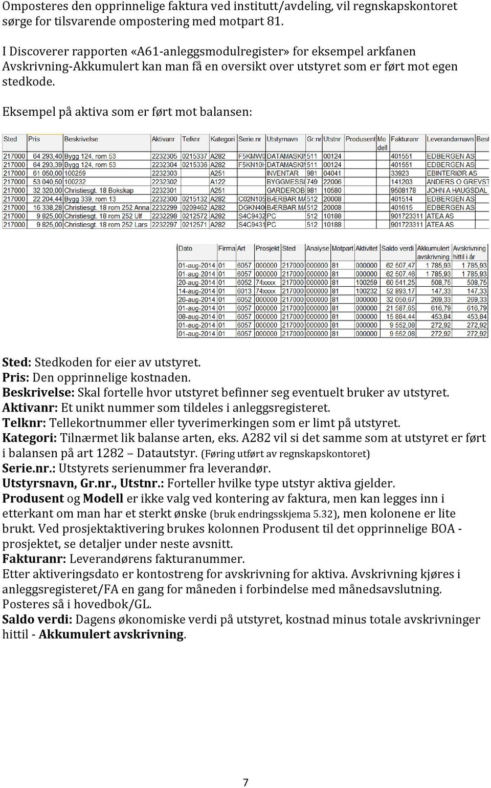 Eksempel på aktiva som er ført mot balansen: Sted: Stedkoden for eier av utstyret. Pris: Den opprinnelige kostnaden. Beskrivelse: Skal fortelle hvor utstyret befinner seg eventuelt bruker av utstyret.