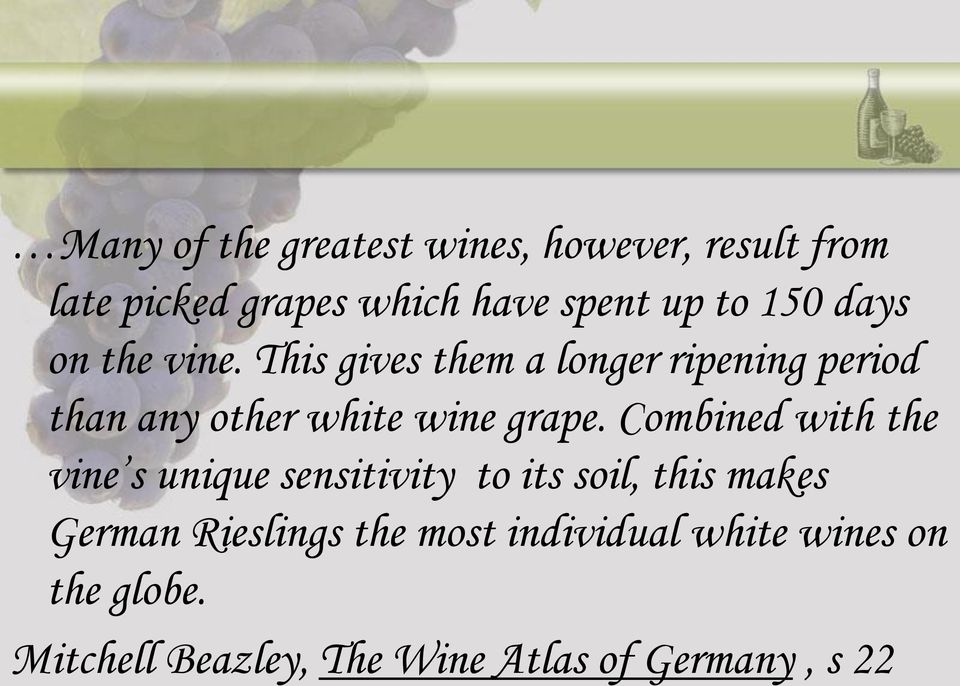 This gives them a longer ripening period than any other white wine grape.