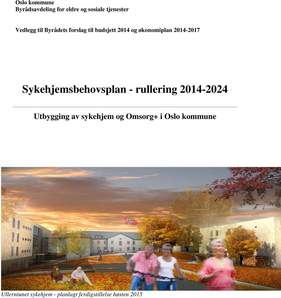 Sykehjemsbehovsplan - rullering 2014-2024 Utbygging av sykehjem og