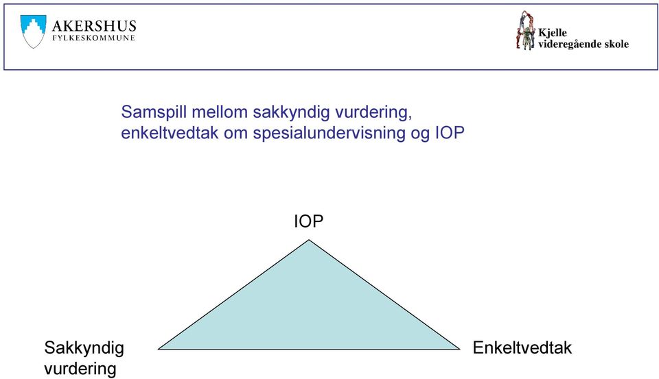 spesialundervisning og IOP