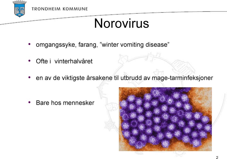 en av de viktigste årsakene til utbrudd