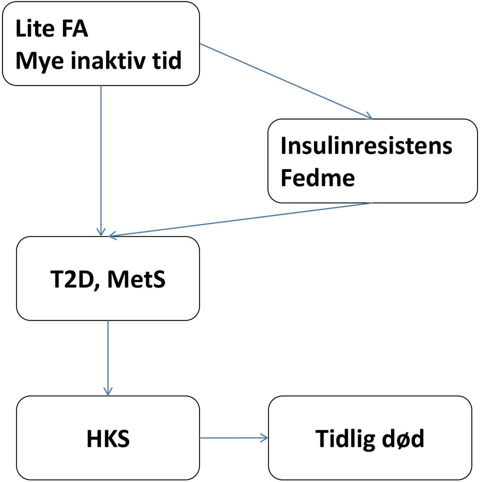 Insulinresistens