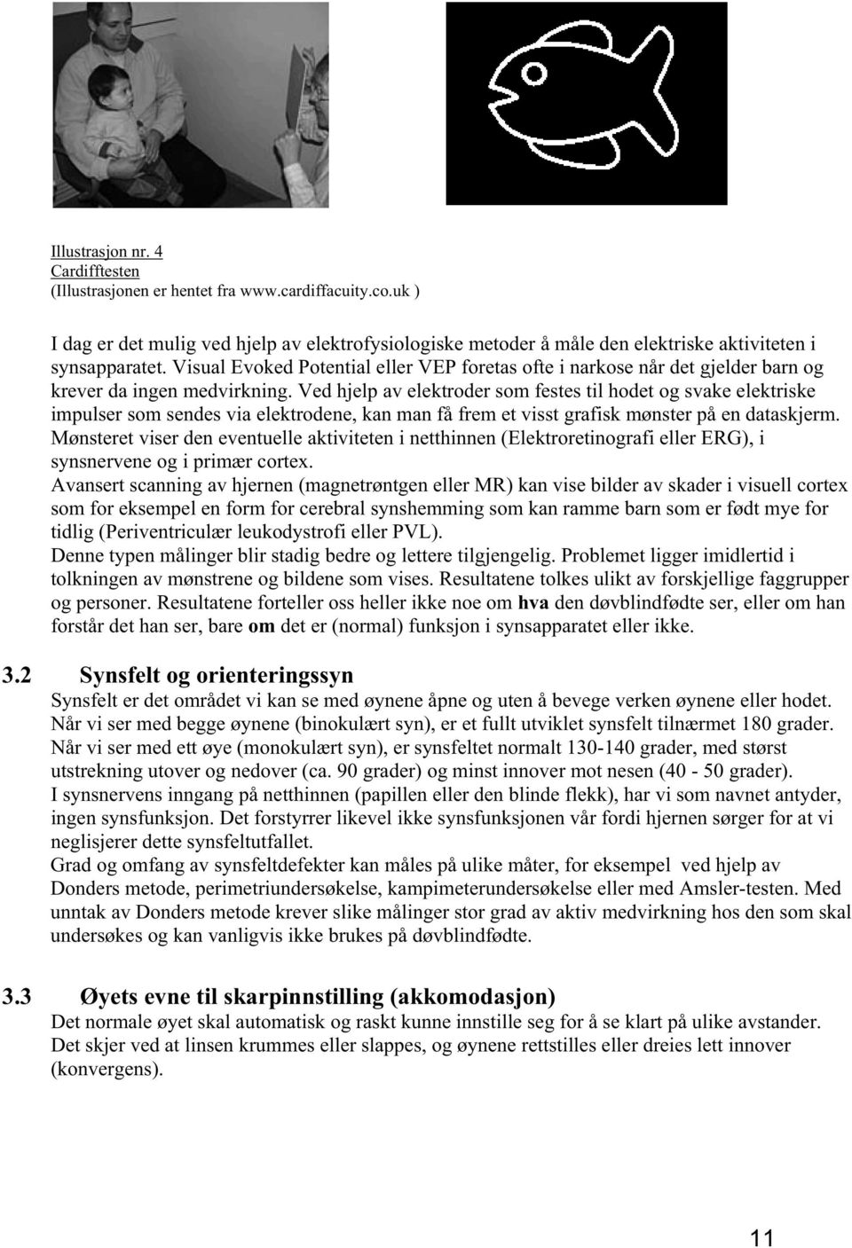 Ved hjelp av elektroder som festes til hodet og svake elektriske impulser som sendes via elektrodene, kan man få frem et visst grafisk mønster på en dataskjerm.