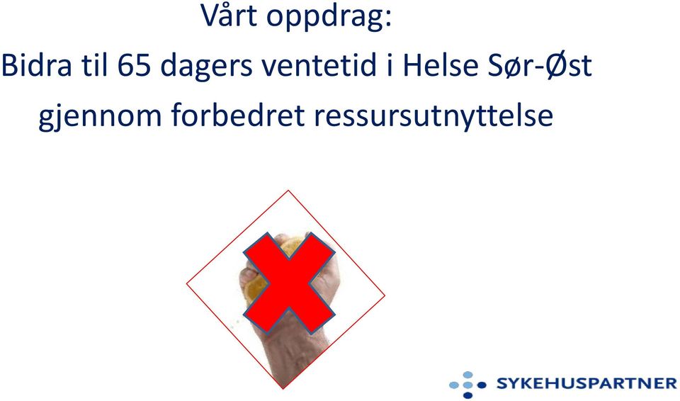 Helse Sør-Øst gjennom