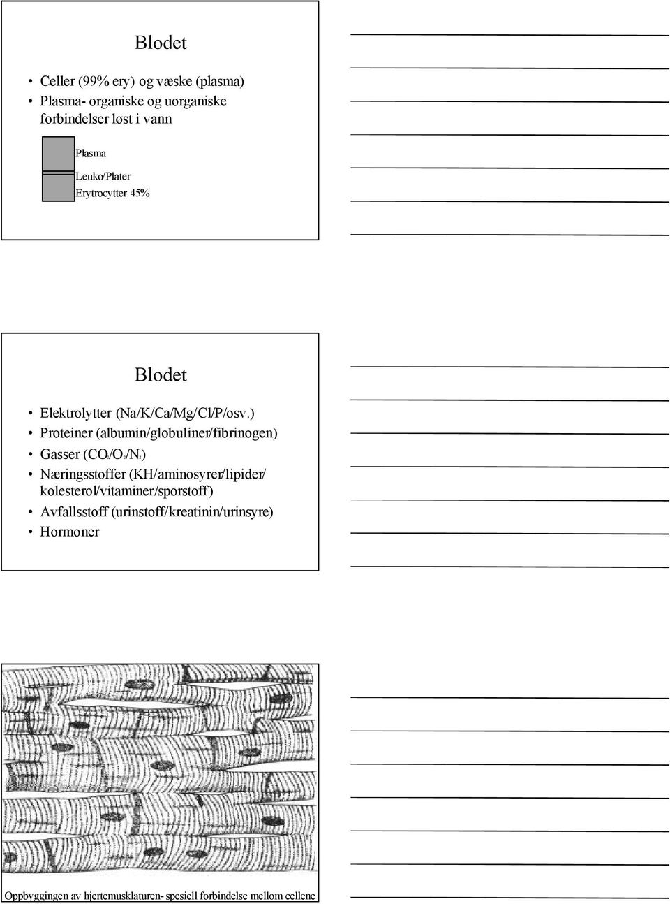 ) Proteiner (albumin/globuliner/fibrinogen) Gasser (CO2/O 2/N2) Næringsstoffer (KH/aminosyrer/lipider/