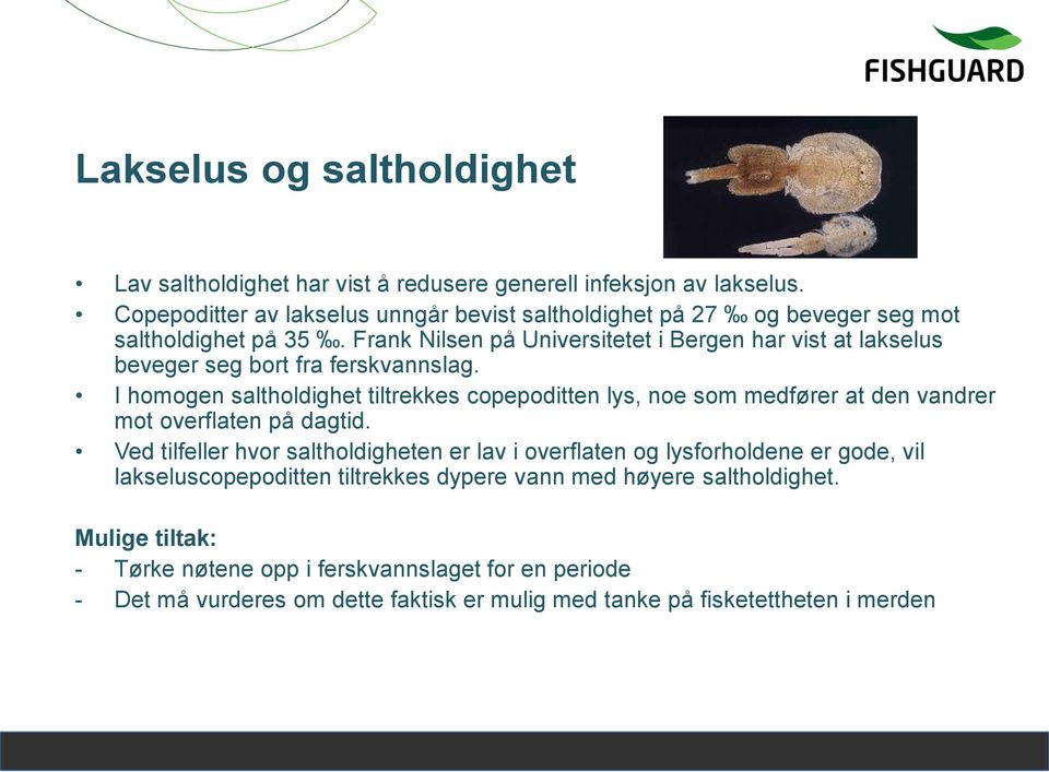Frank Nilsen på Universitetet i Bergen har vist at lakselus beveger seg bort fra ferskvannslag.