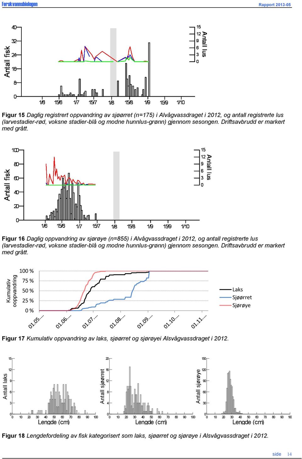 Figur 16 Daglig oppvandring av sjørøye (n=855) i Alvågvassdraget i 212, og antall  1 % 75 % 5 % 25 % % Laks Sjøørret Sjørøye Figur 17 Kumulativ oppvandring av laks, sjøørret og sjørøyei