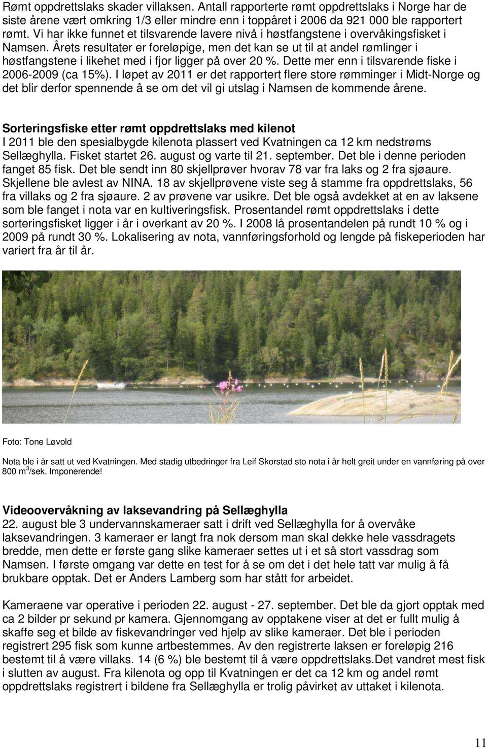 Årets resultater er foreløpige, men det kan se ut til at andel rømlinger i høstfangstene i likehet med i fjor ligger på over 20 %. Dette mer enn i tilsvarende fiske i 2006-2009 (ca 15%).