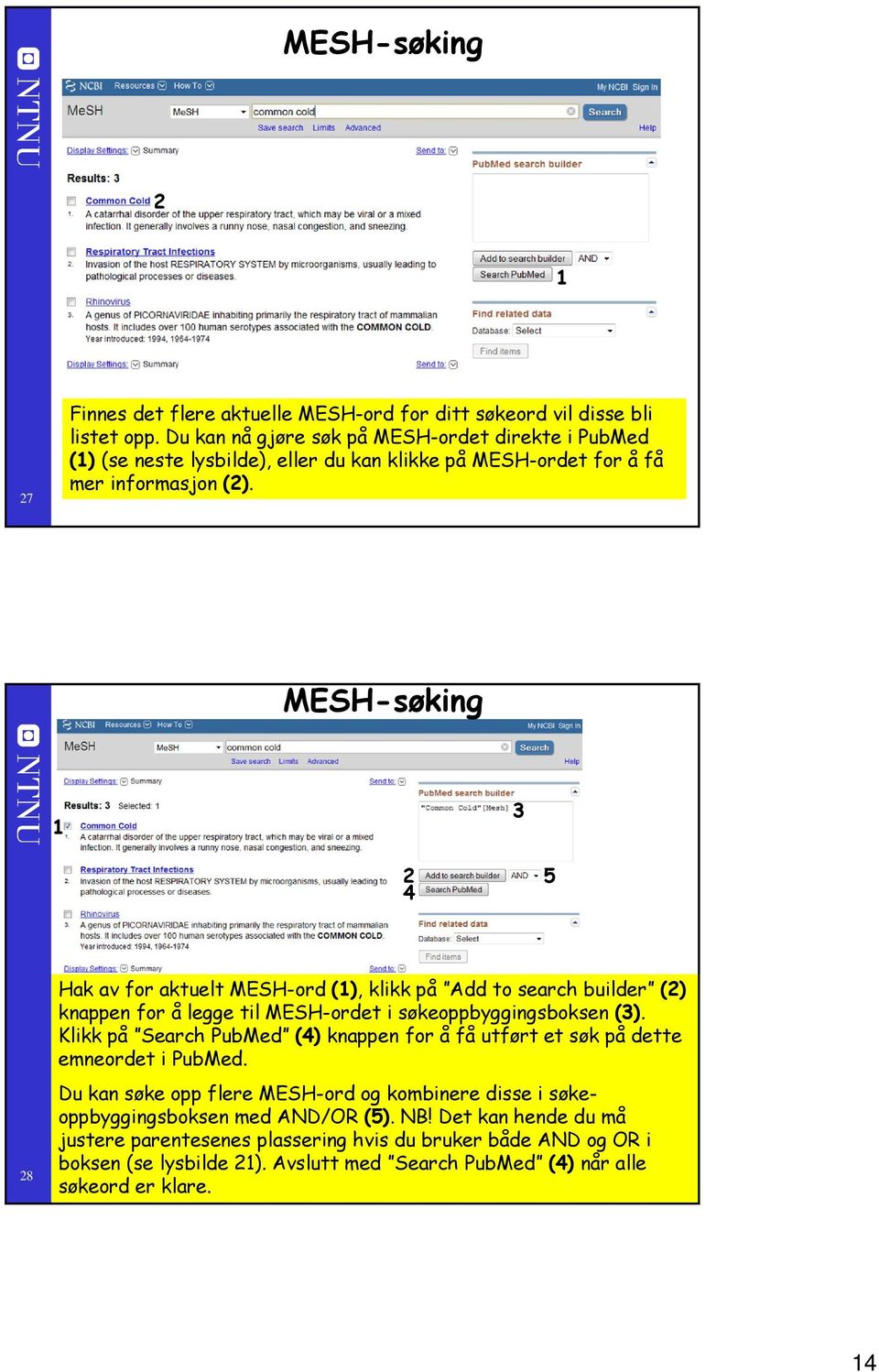 MESH-søking 3 4 5 8 Hak av for aktuelt MESH-ord (), klikk på Add to search builder () knappen for å legge til MESH-ordet i søkeoppbyggingsboksen (3).