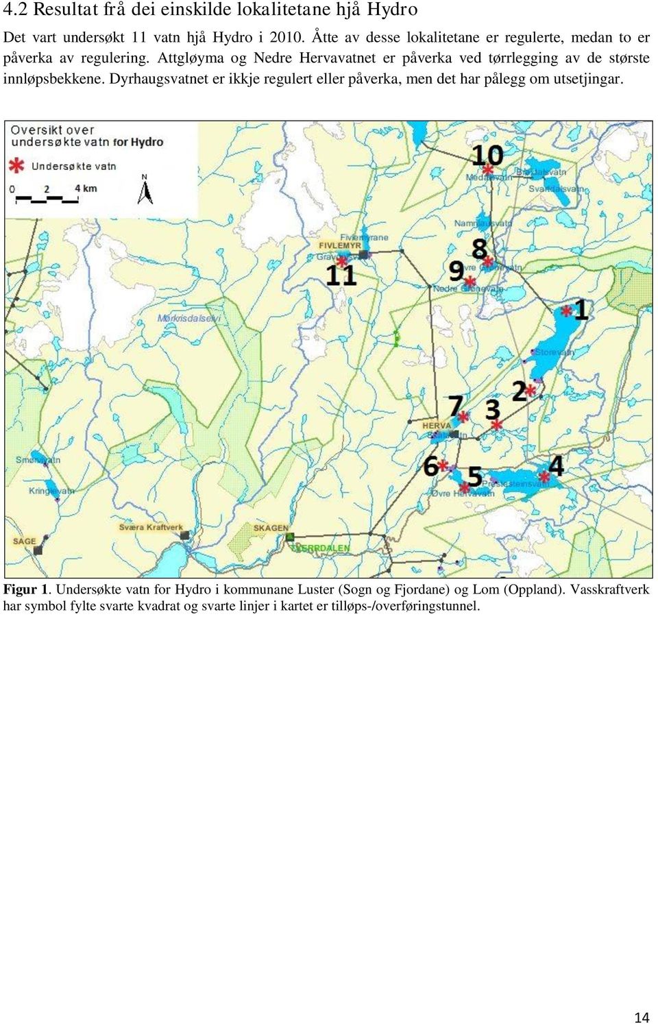 Attgløyma og Nedre Hervavatnet er påverka ved tørrlegging av de største innløpsbekkene.