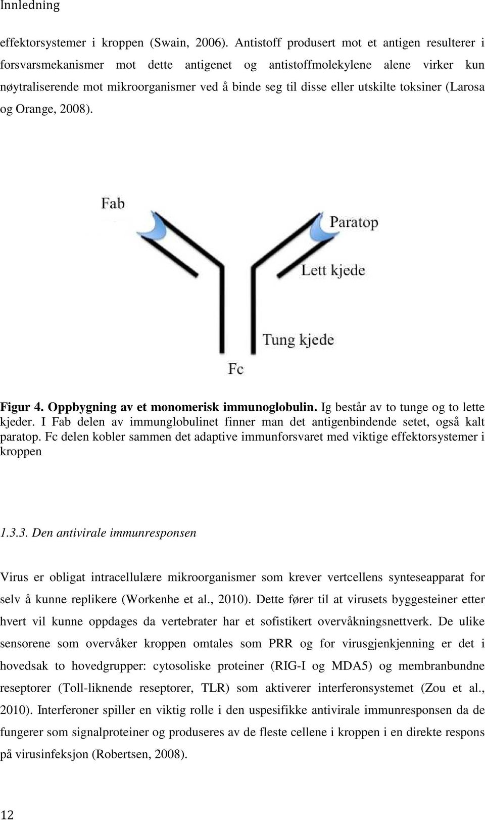 utskilte toksiner (Larosa og Orange, 2008). Figur 4. Oppbygning av et monomerisk immunoglobulin. Ig består av to tunge og to lette kjeder.