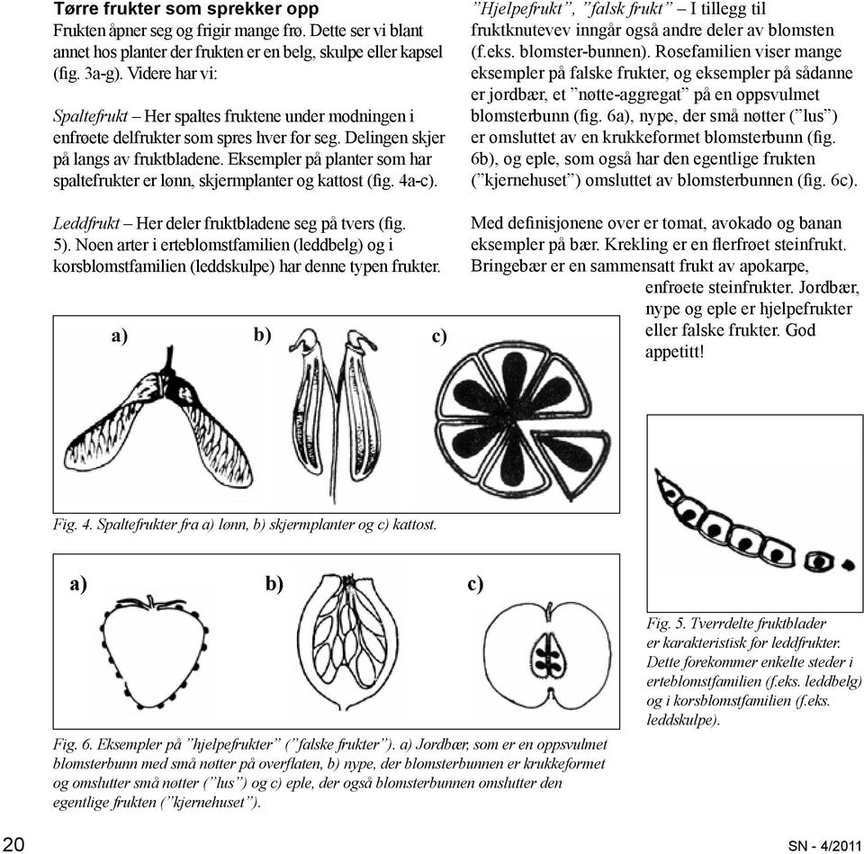 Eksempler på planter som har spaltefrukter er lønn, skjermplanter og kattost (fig. 4a-c). Leddfrukt Her deler fruktbladene seg på tvers (fig. 5).