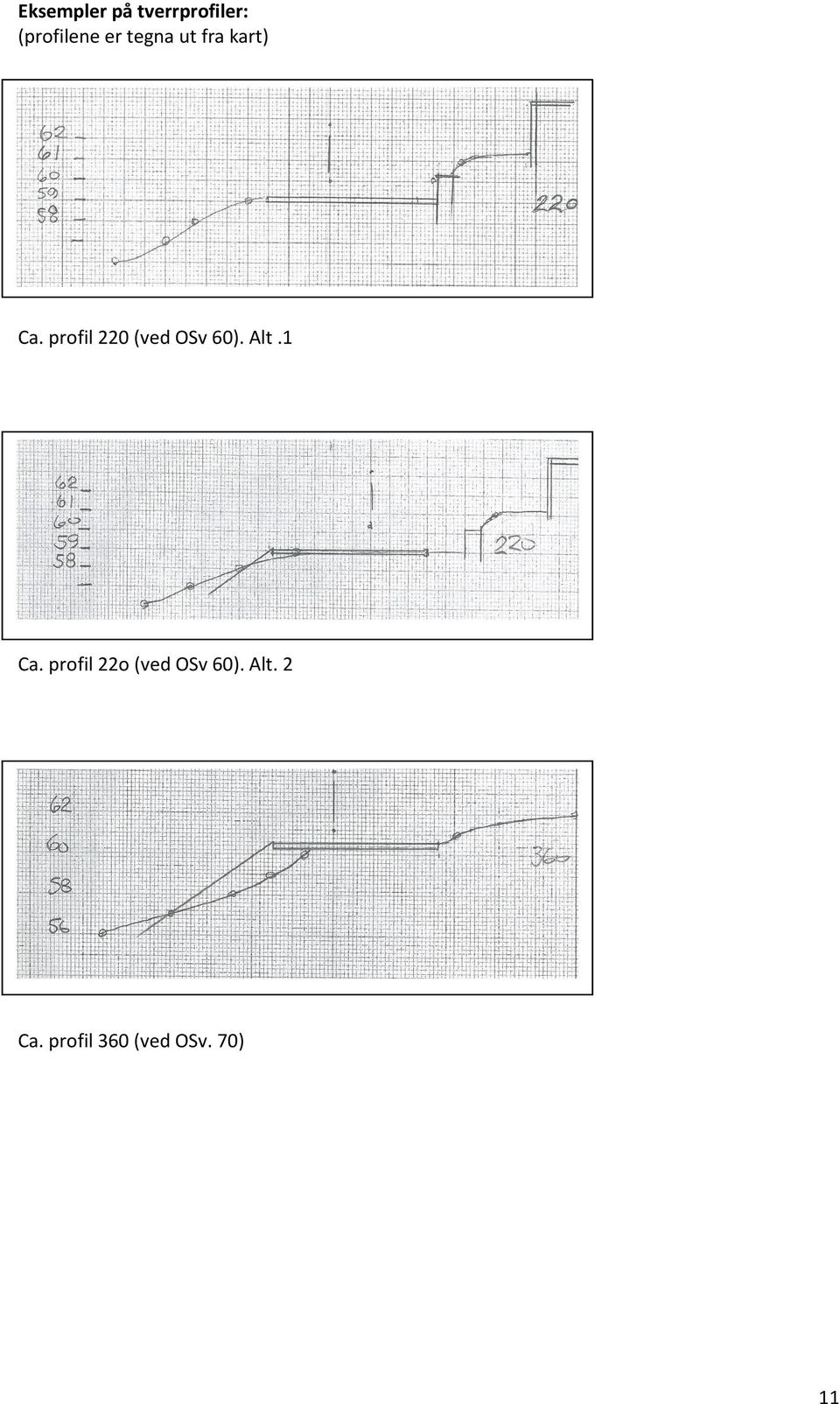profil 220 (ved OSv 60). Alt.1 Ca.