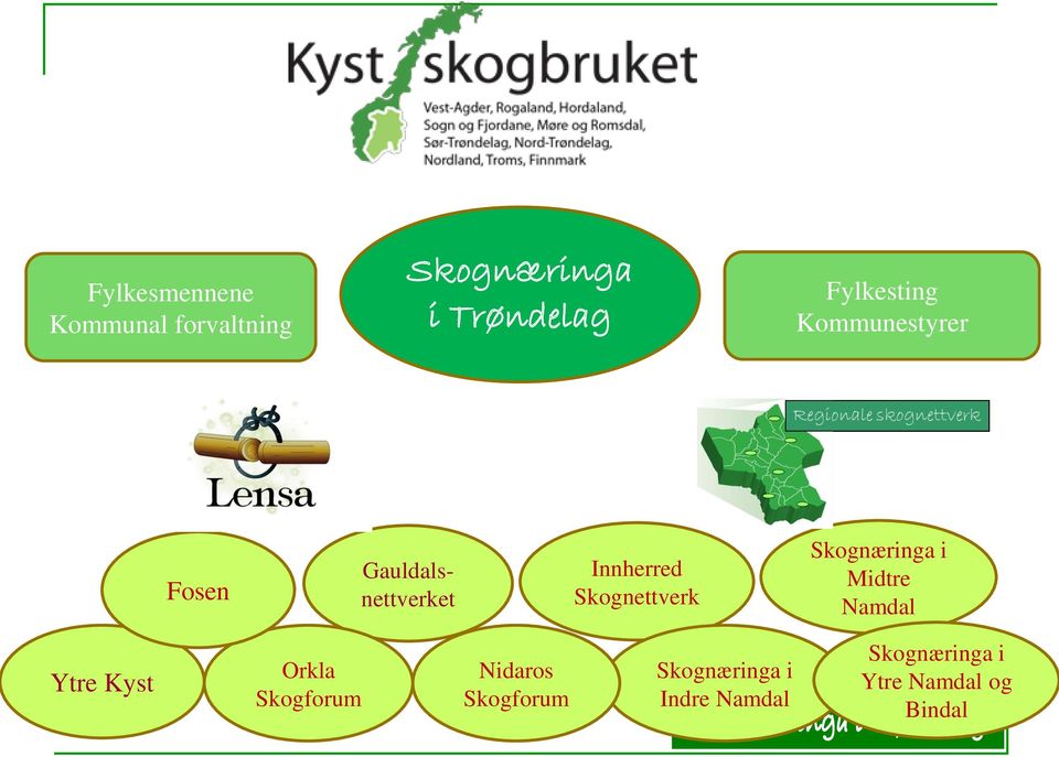 Skognettverk Skognæringa i Midtre Namdal Ytre Kyst Orkla Skogforum