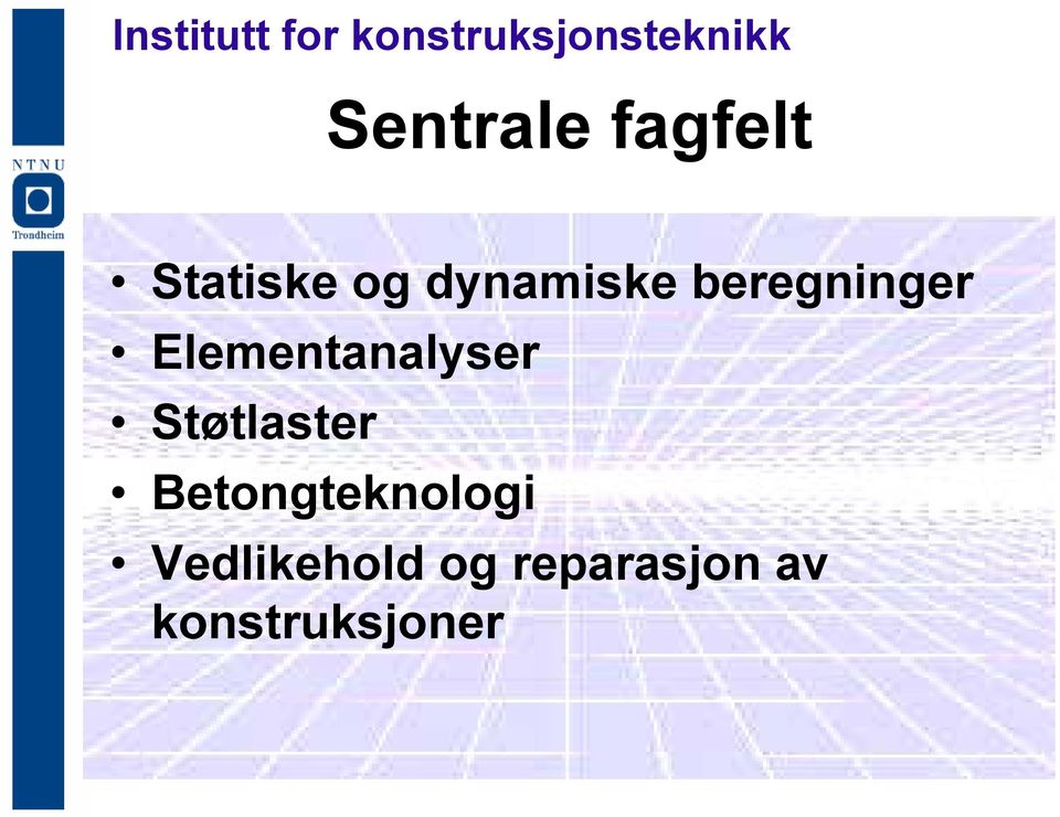 Elementanalyser Støtlaster