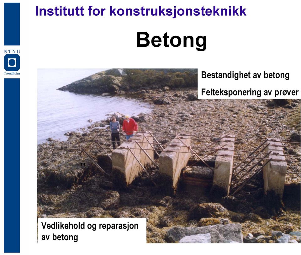 Bestandighet av betong