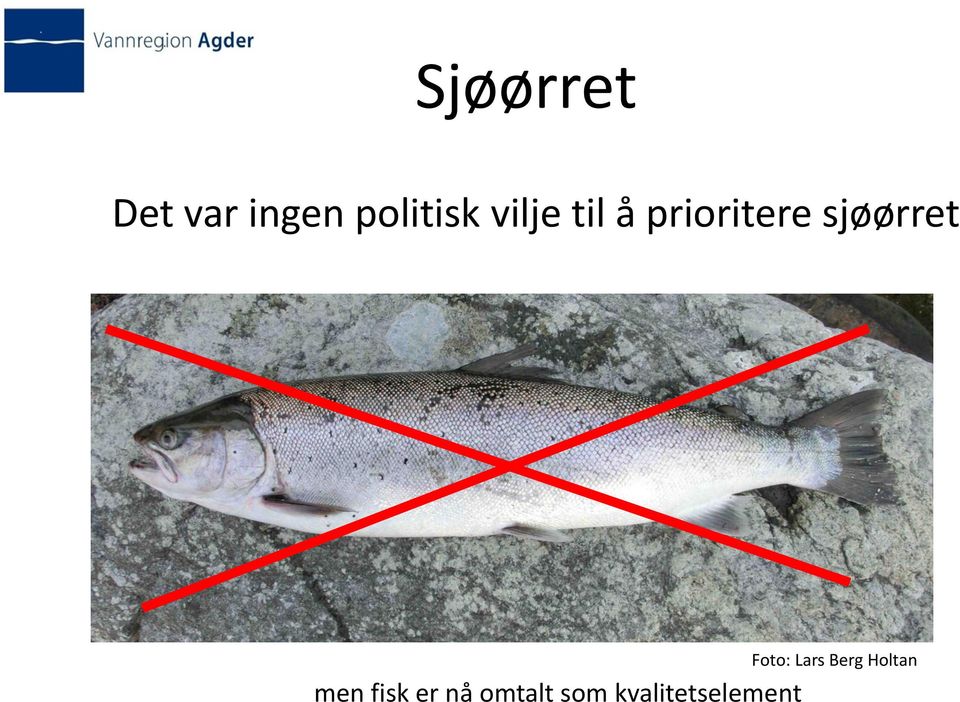 Foto: Lars Berg Holtan men fisk