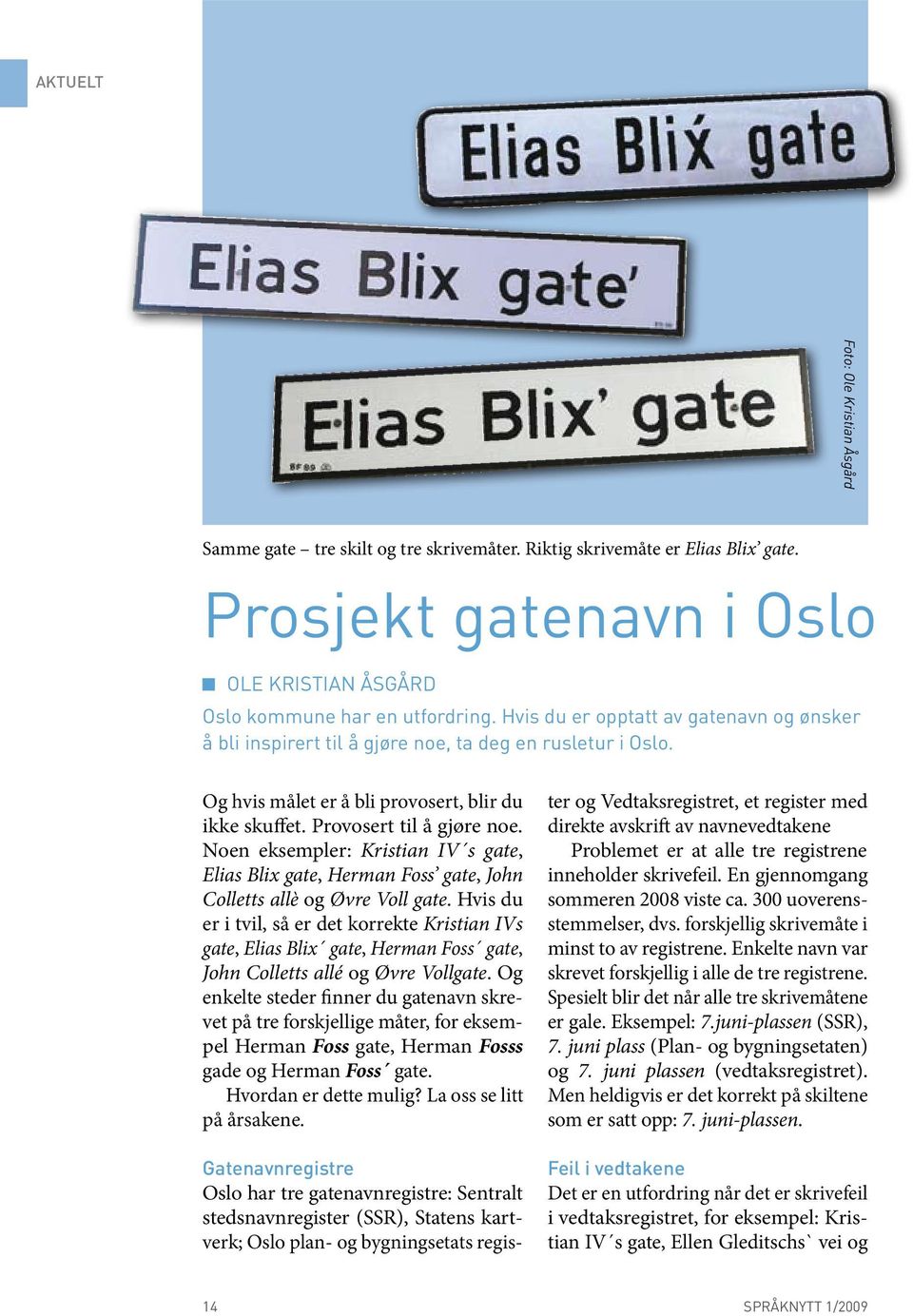 Noen eksempler: Kristian IV s gate, Elias Blix gate, Herman Foss gate, John Colletts allè og Øvre Voll gate.