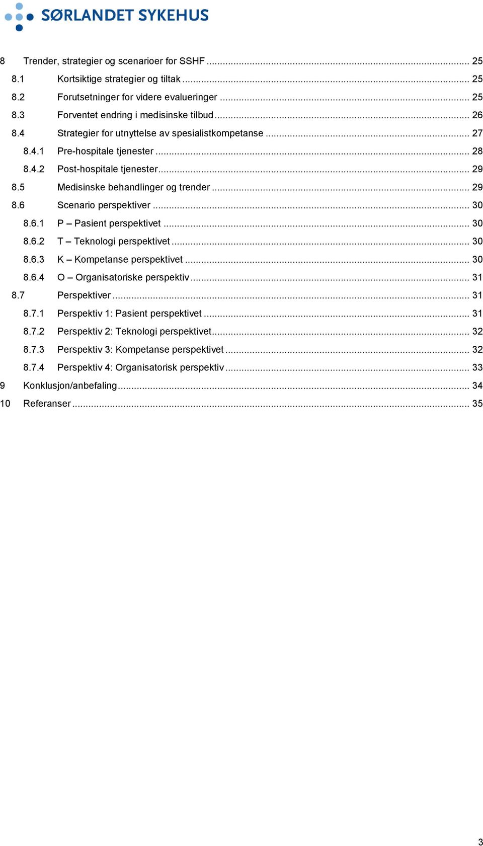 .. 30 8.6.1 P Pasient perspektivet... 30 8.6.2 T Teknologi perspektivet... 30 8.6.3 K Kompetanse perspektivet... 30 8.6.4 O Organisatoriske perspektiv... 31 8.7 Perspektiver... 31 8.7.1 Perspektiv 1: Pasient perspektivet.