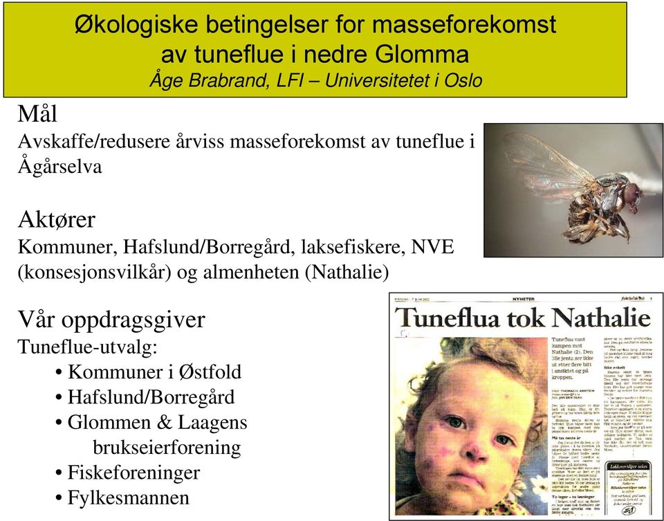 Hafslund/Borregård, laksefiskere, NVE (konsesjonsvilkår) og almenheten (Nathalie) Vår oppdragsgiver