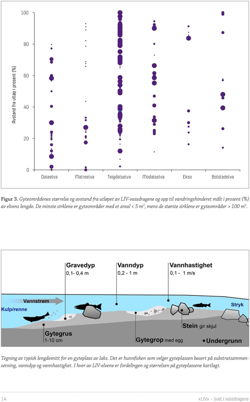 De minste sirklene er gyteområder med et areal < 5 m 2, mens de største sirklene er gyteområder > 1 m 2.