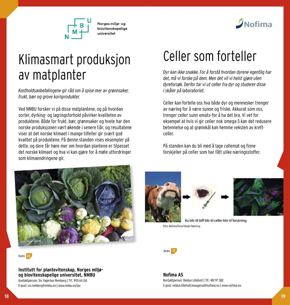 Både for frukt, bær, grønnsaker og hvete har den norske produksjonen vært økende i senere tiår, og resultatene viser at det norske klimaet i mange tilfeller gir svært god kvalitet på produktene.
