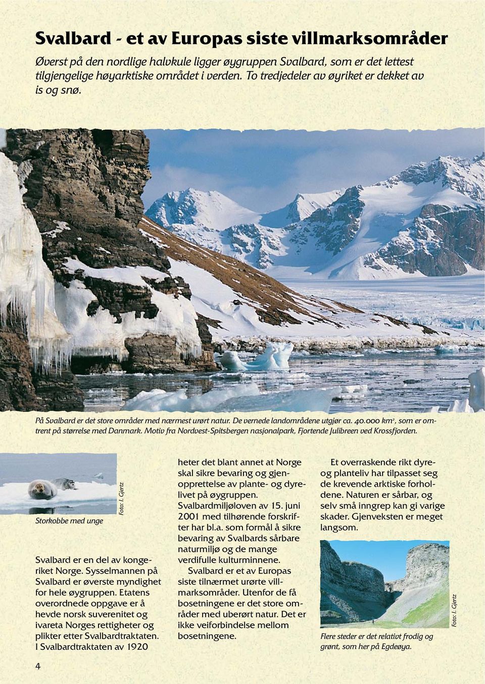 Motiv fra Nordvest-Spitsbergen nasjonalpark, Fjortende Julibreen ved Krossfjorden. Storkobbe med unge Svalbard er en del av kongeriket Norge.