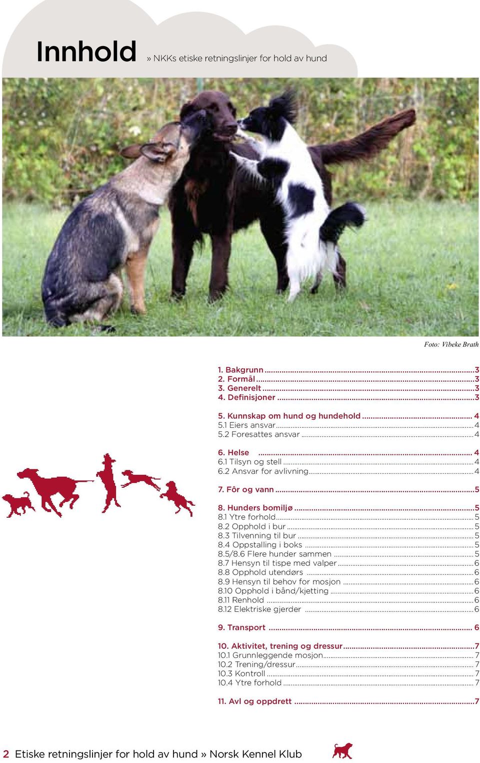 .. 5 8.5/8.6 Flere hunder sammen... 5 8.7 Hensyn til tispe med valper...6 8.8 Opphold utendørs...6 8.9 Hensyn til behov for mosjon...6 8.10 Opphold i bånd/kjetting...6 8.11 Renhold...6 8.12 Elektriske gjerder.