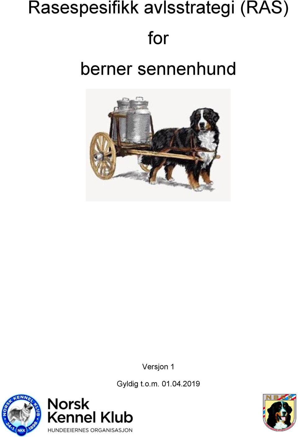 berner sennenhund