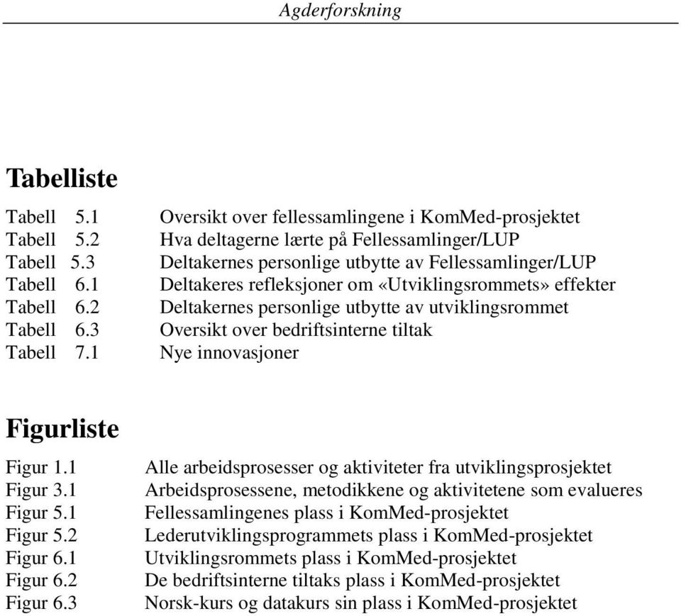 effekter Deltakernes personlige utbytte av utviklingsrommet Oversikt over bedriftsinterne tiltak Nye innovasjoner Figurliste Figur 1.1 Figur 3.1 Figur 5.1 Figur 5.2 Figur 6.