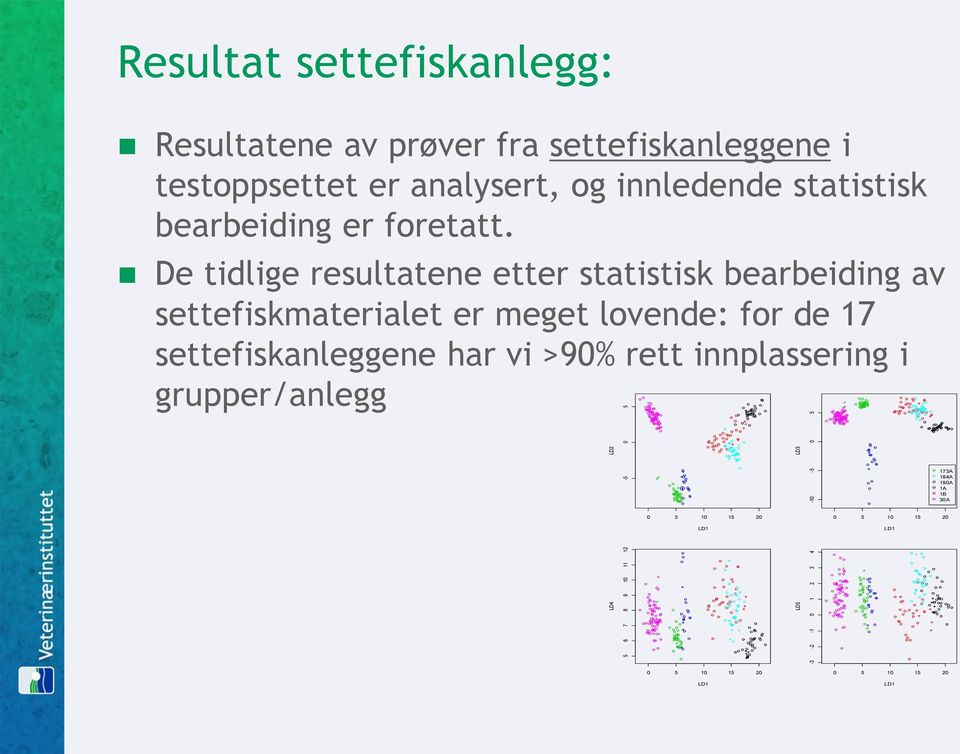 De tidlige resultatene etter statistisk bearbeiding av settefiskmaterialet er meget lovende: for de 17