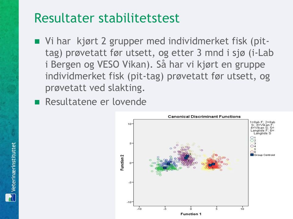 Bergen og VESO Vikan).