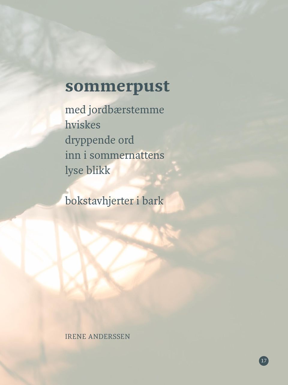 sommernattens lyse blikk