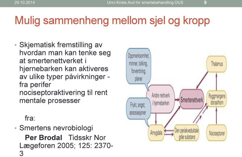 Skjematisk fremstilling av hvordan man kan tenke seg at smertenettverket i hjernebarken