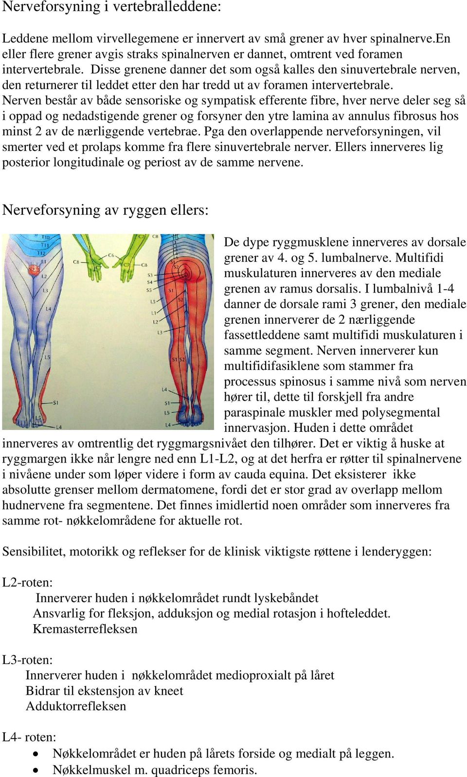 Disse grenene danner det som også kalles den sinuvertebrale nerven, den returnerer til leddet etter den har tredd ut av foramen intervertebrale.