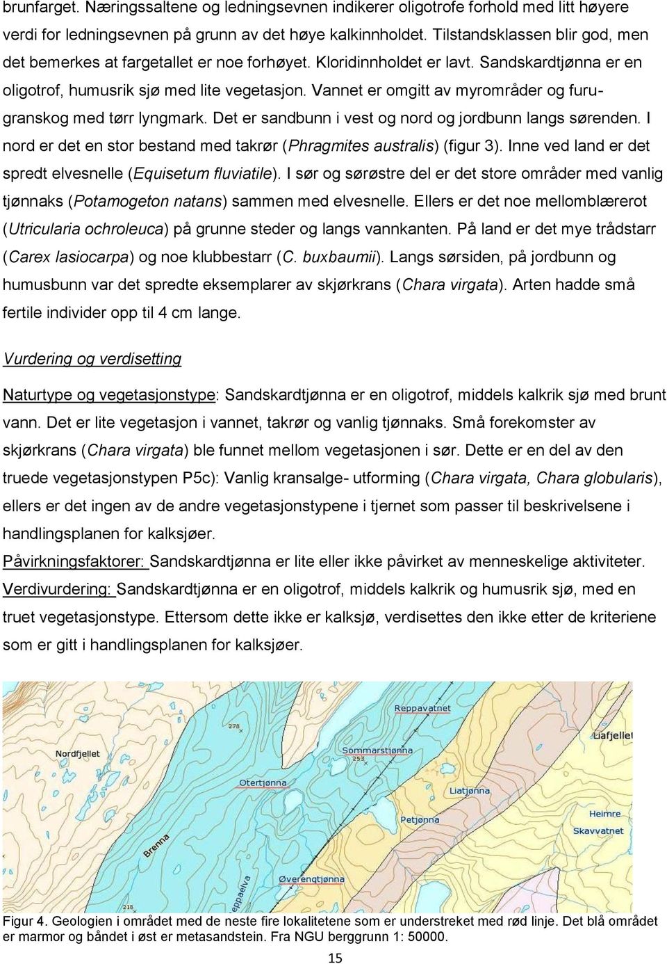 Vannet er omgitt av myrområder og furugranskog med tørr lyngmark. Det er sandbunn i vest og nord og jordbunn langs sørenden. I nord er det en stor bestand med takrør (Phragmites australis) (figur 3).