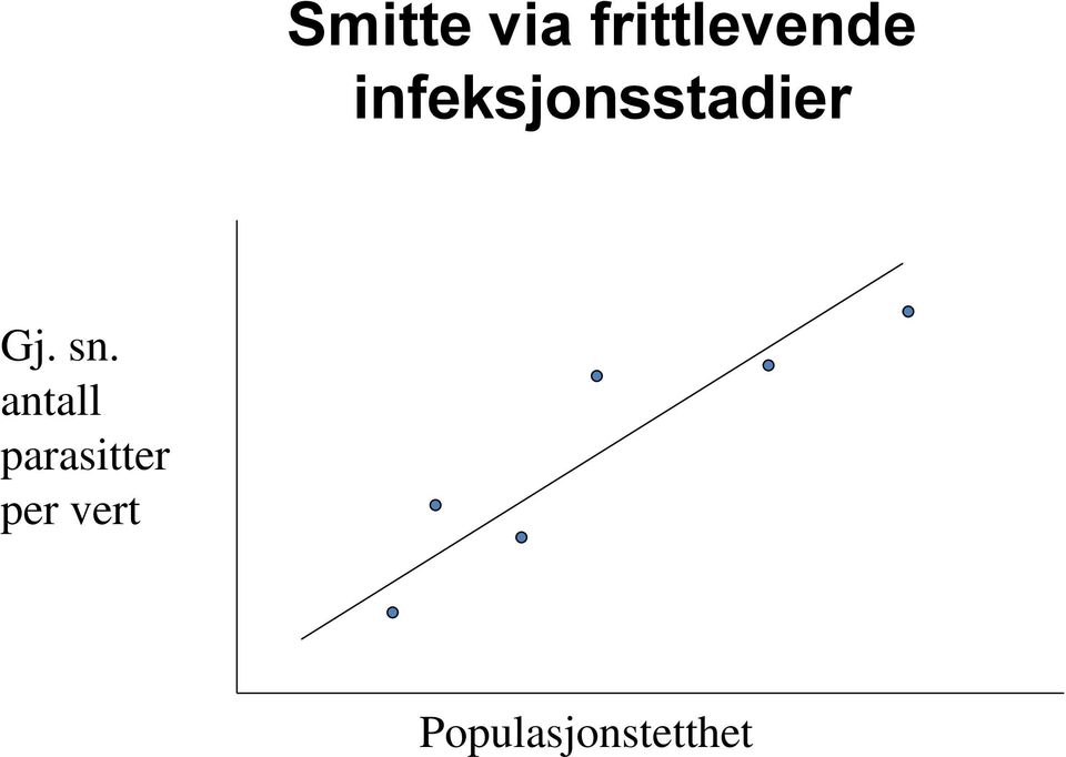 sn. antall parasitter