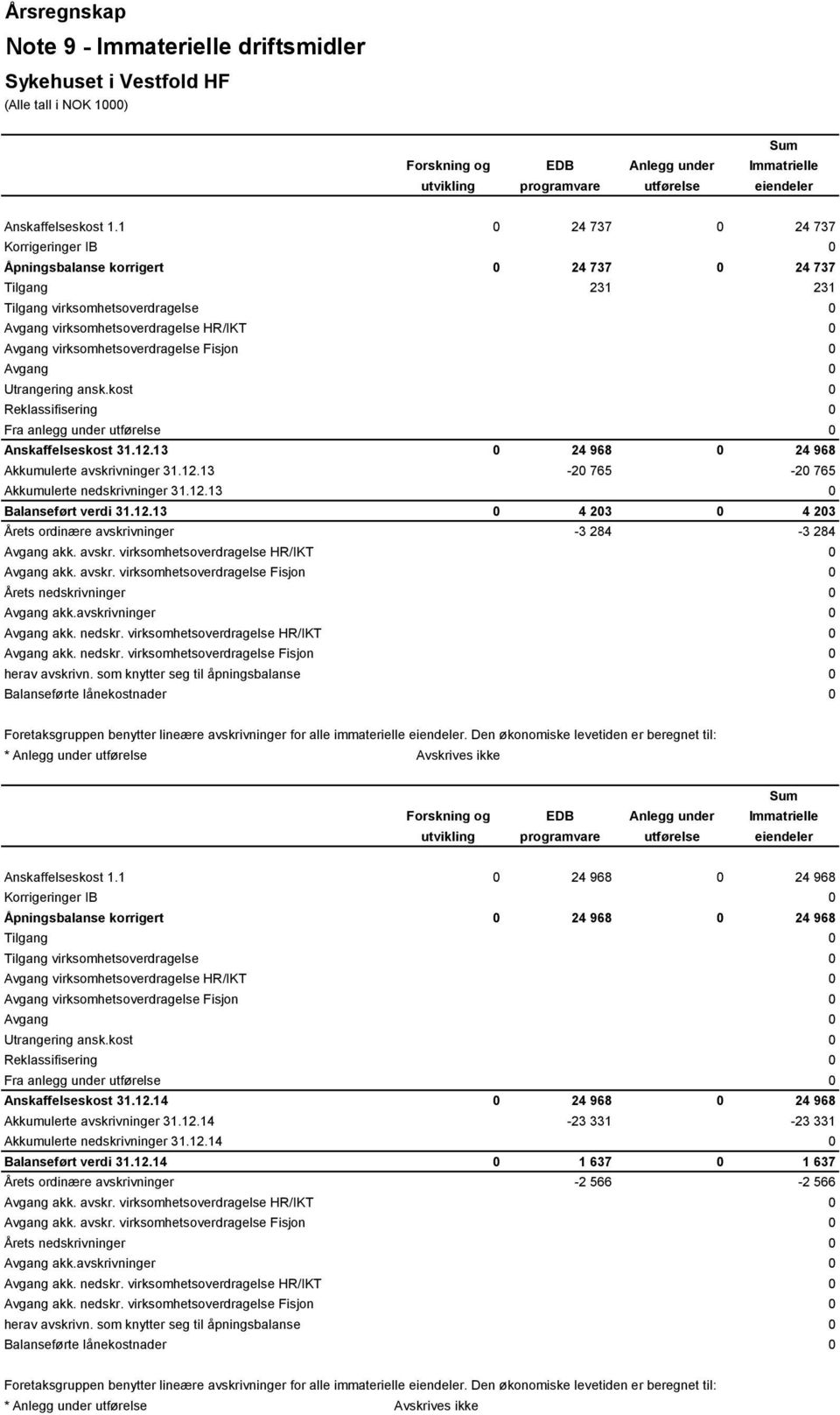 virksomhetsoverdragelse Fisjon 0 Avgang 0 Utrangering ansk.kost 0 Reklassifisering 0 Fra anlegg under utførelse 0 Anskaffelseskost 31.12.13 0 24 968 0 24 968 Akkumulerte avskrivninger 31.12.13-20 765-20 765 Akkumulerte nedskrivninger 31.