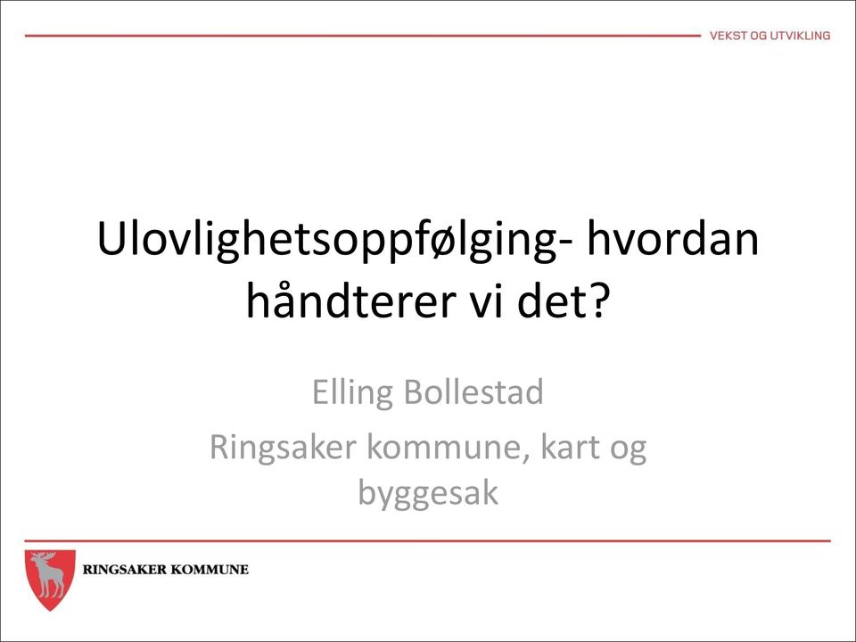 Elling Bollestad